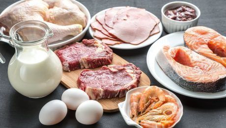 36061131 – protein diet products